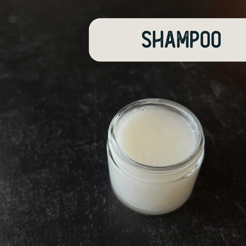 Aloe & Protein Moisturizing Shampoo