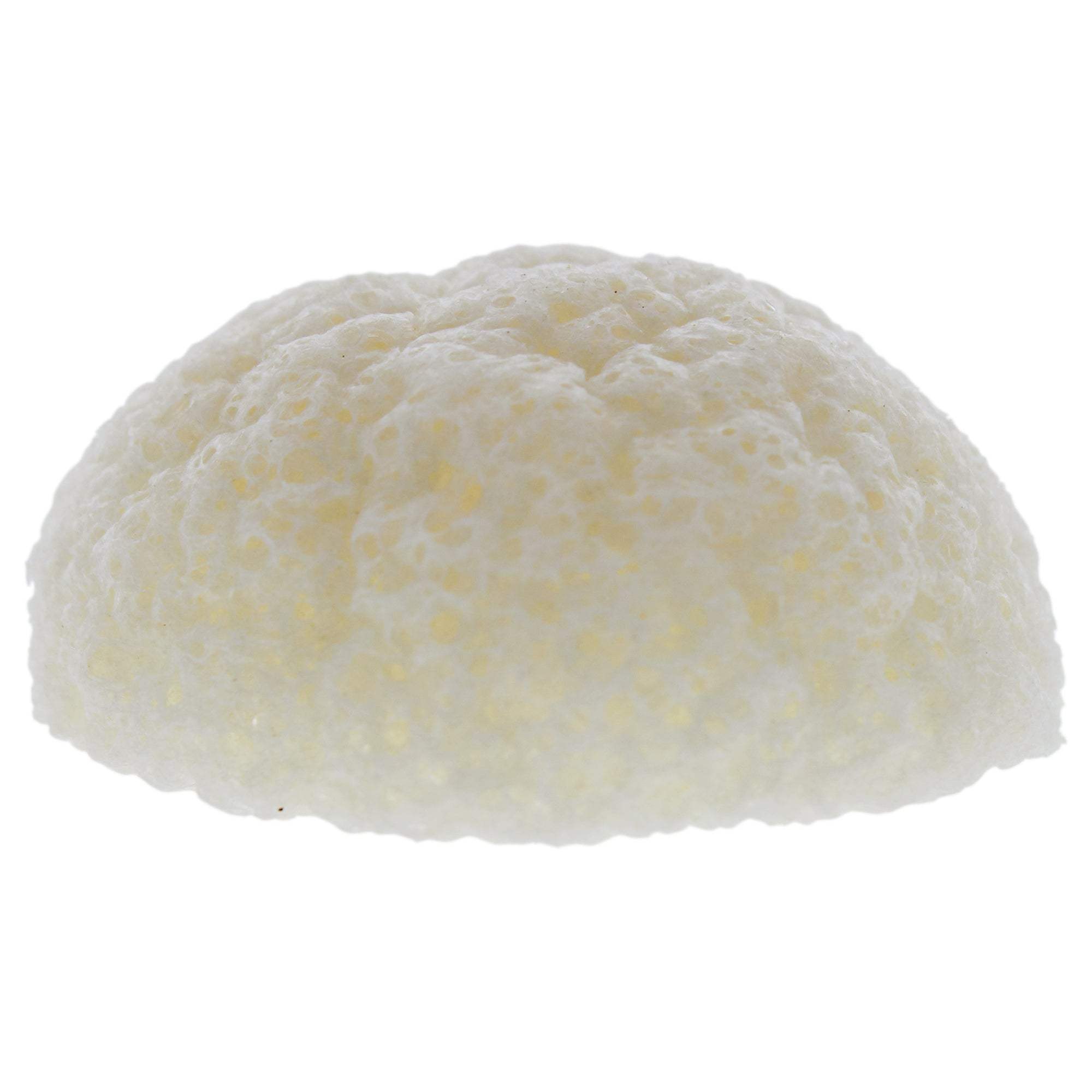 Natural Konjac Sponge by Erborian for Women - 3.5 oz Sponge