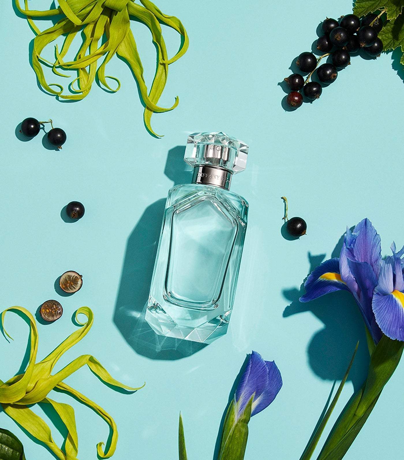 Sheer by Tiffany and Co. for Women - 2.5 oz EDT Spray