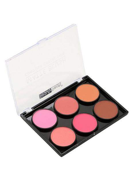 BEAUTY TREATS Matte Blush Display Case Set 12 Pieces