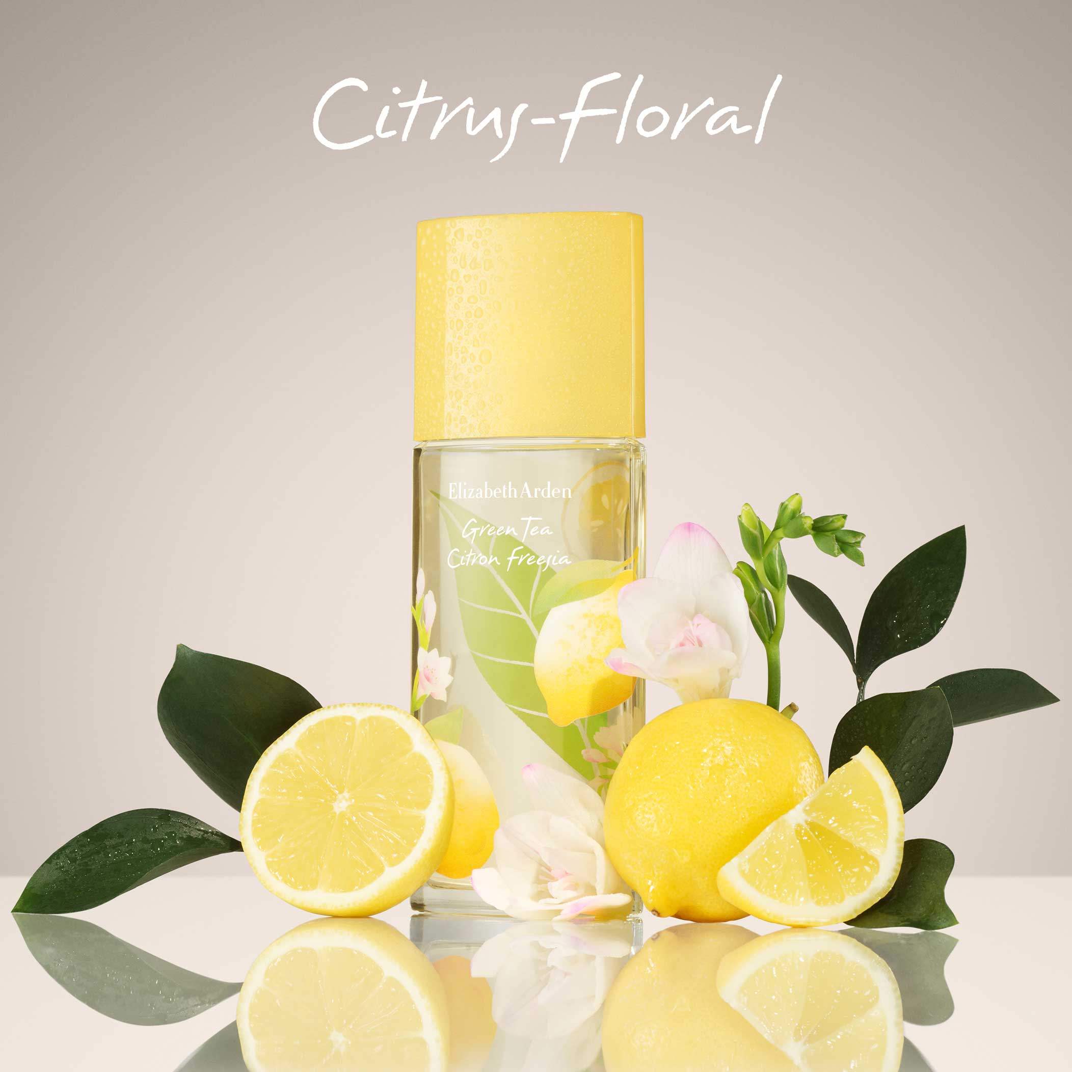 Green Tea Mimosa by Elizabeth Arden for Women - 3.3 oz EDT Spray