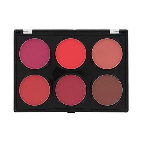 BEAUTY TREATS Matte Blush Display Case Set 12 Pieces