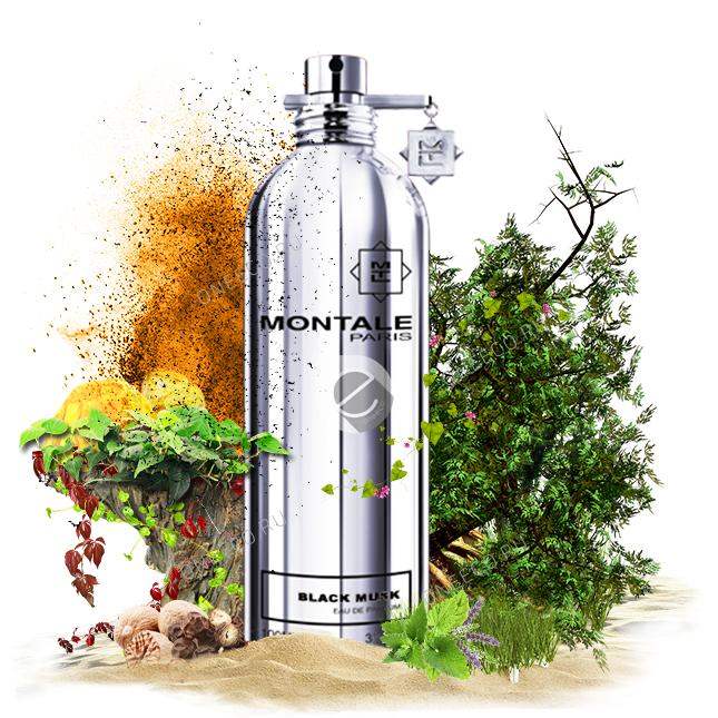 Black Musk by Montale for Unisex - 3.4 oz EDP Spray