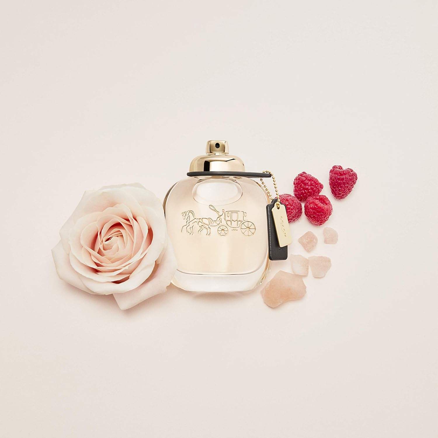 Coach New York by Coach for Women - 1 oz EDP Spray
