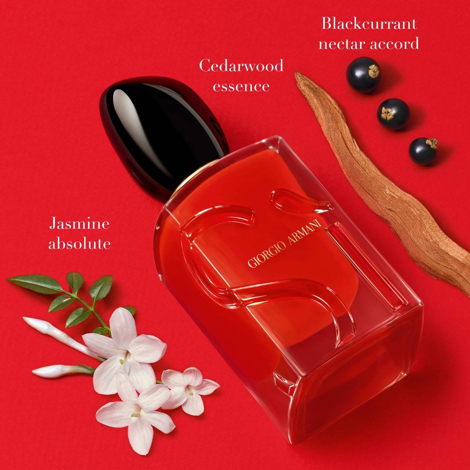Si Passione by Giorgio Armani for Women - 3.4 oz EDP Spray