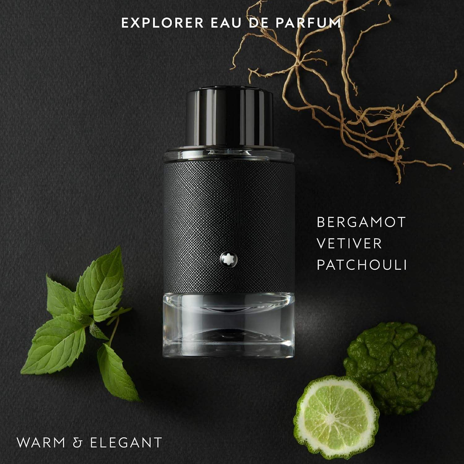Explorer by Mont Blanc for Men - 3.3 oz EDP Spray