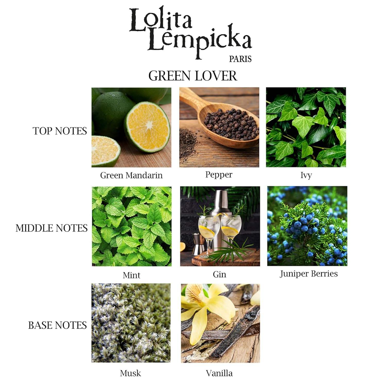 Green Lover by Lolita Lempicka for Men - 3.4 oz EDT Spray