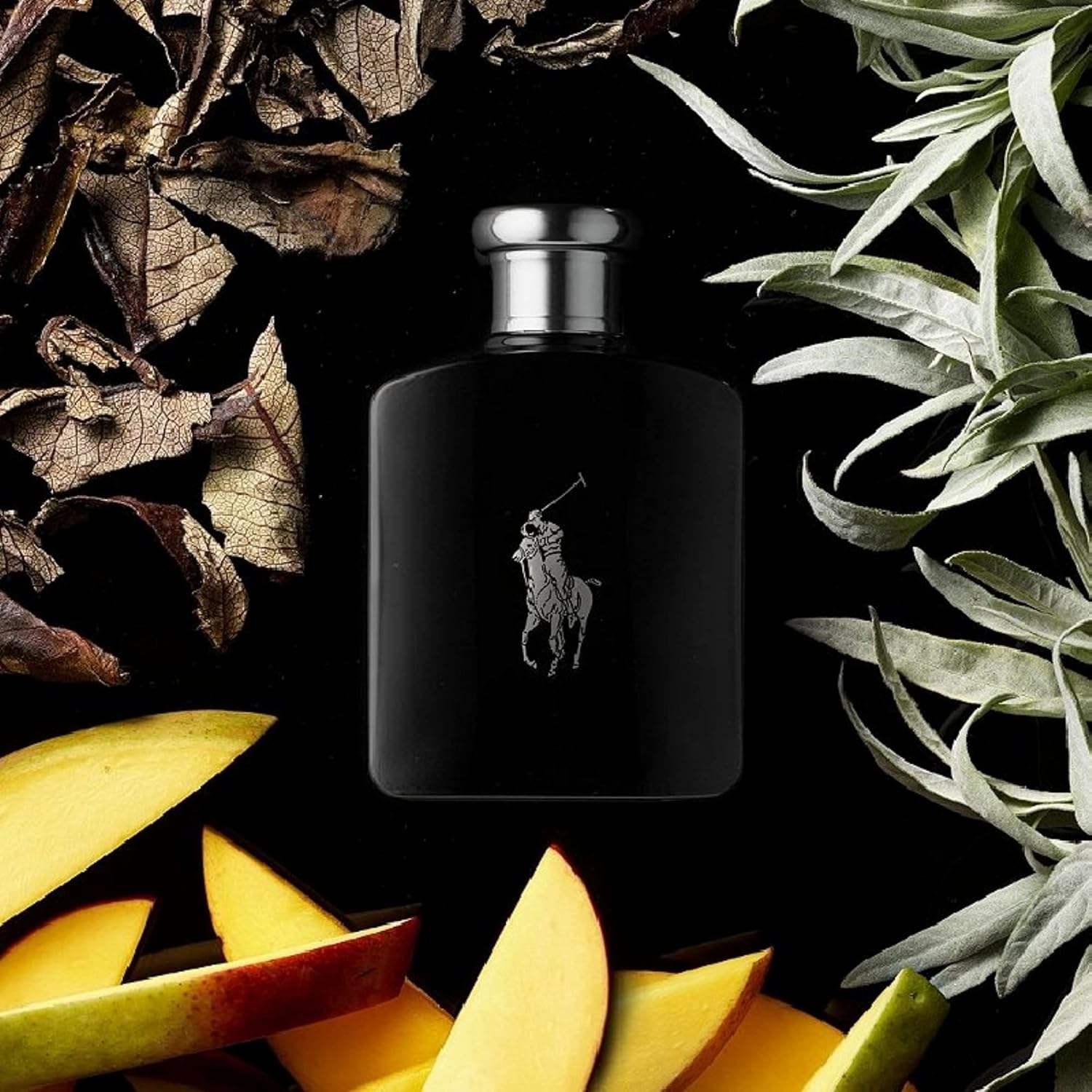 Polo Black by Ralph Lauren for Men - 2.5 oz EDT Spray