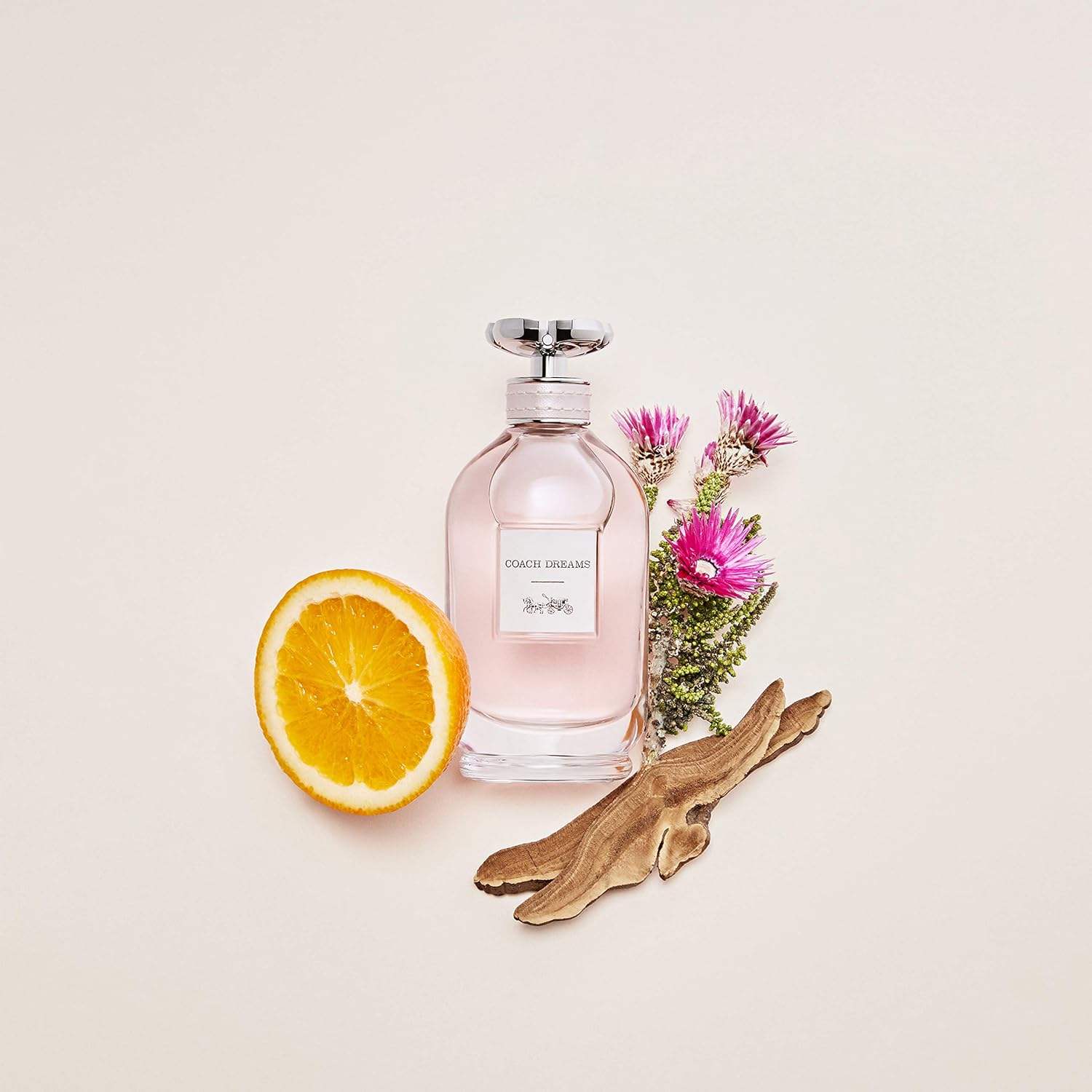 Coach Dreams by Coach for Women - 2 oz EDP Spray