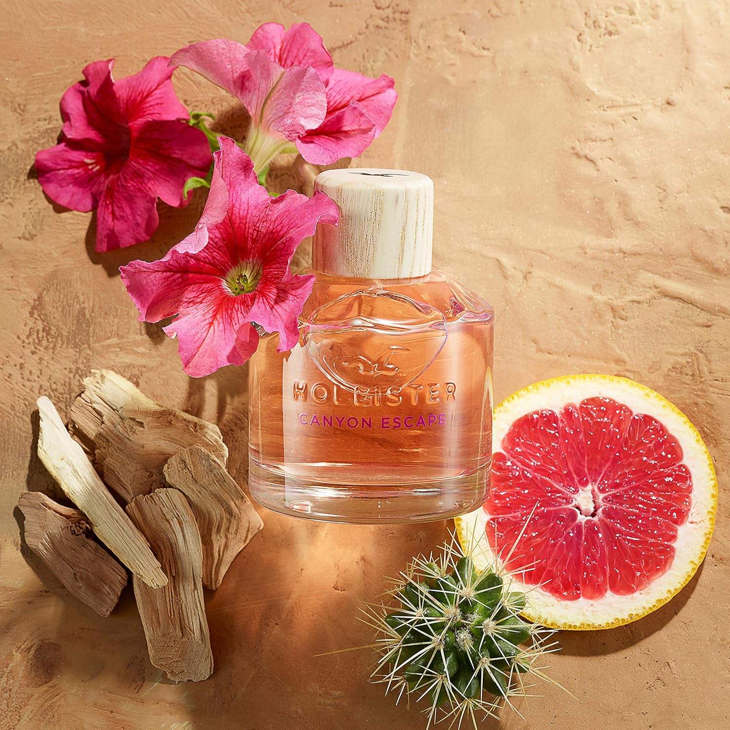 Canyon Escape by Hollister for Women - 3.4 oz EDP Spray