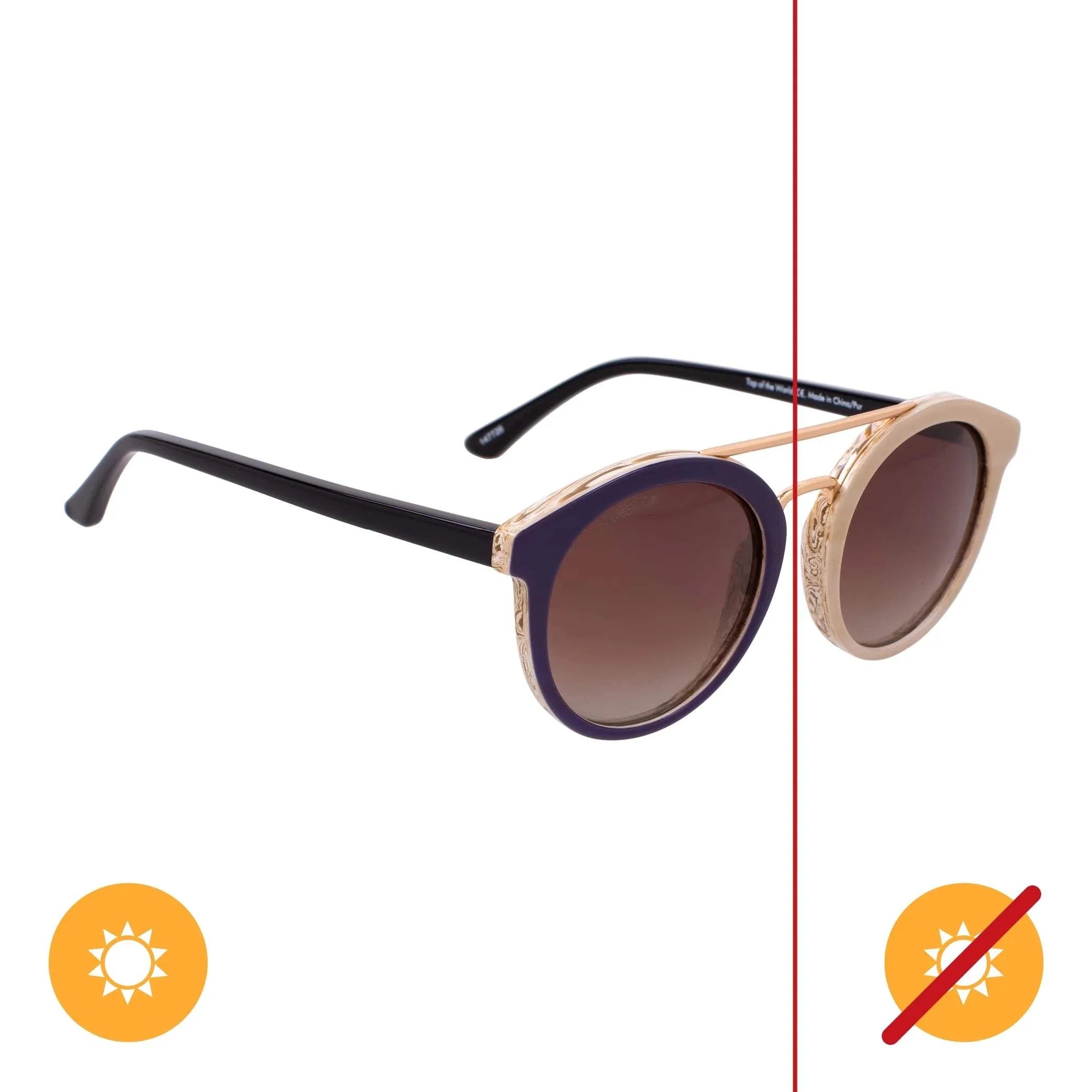 Solize Dream in Color - Green to Navy by DelSol for Unisex - 1 Pc Sunglasses
