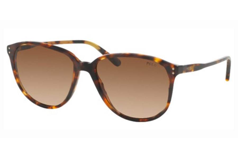 Polo Ralph Lauren PH 4097 513413 Brown Brown by Ralph Lauren for Women - 54-16-140 mm Sunglasses