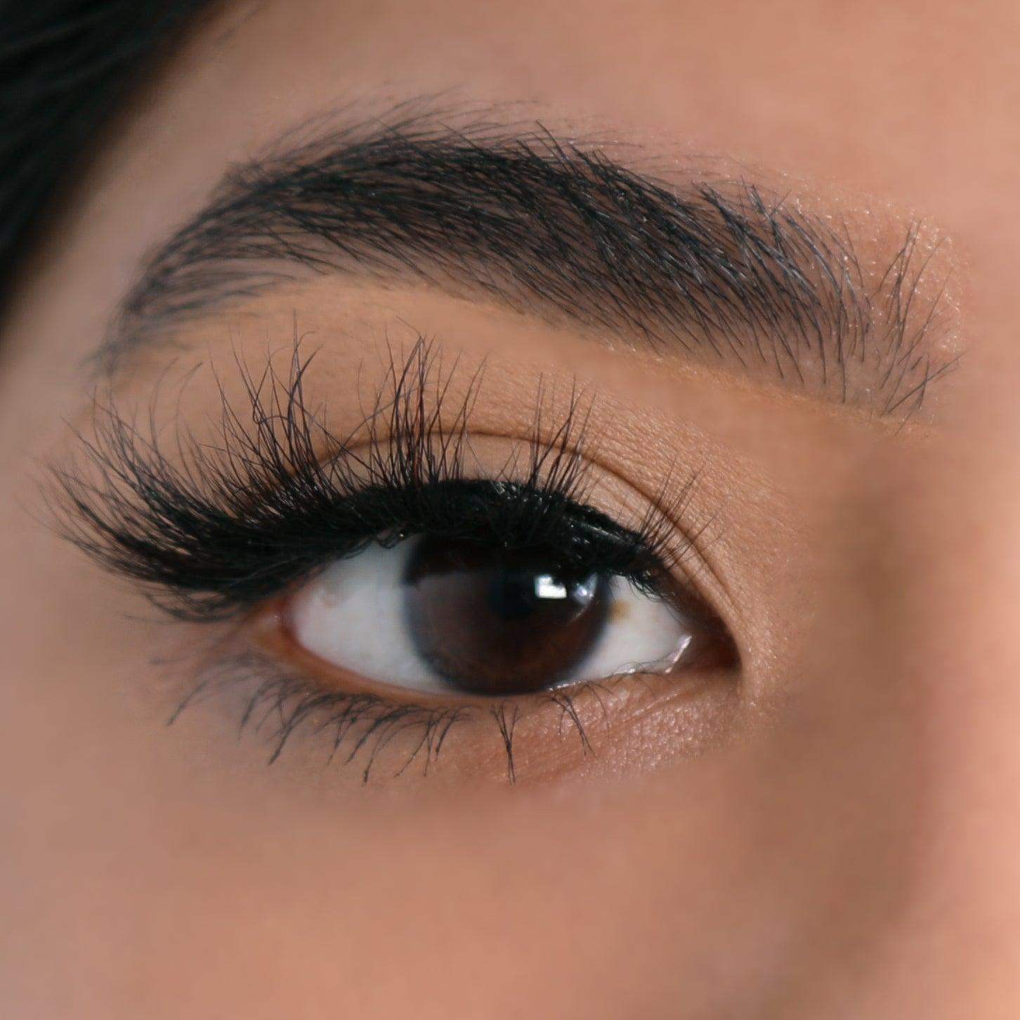 3D Mink Eyelashes - Unstoppable - BarberSets