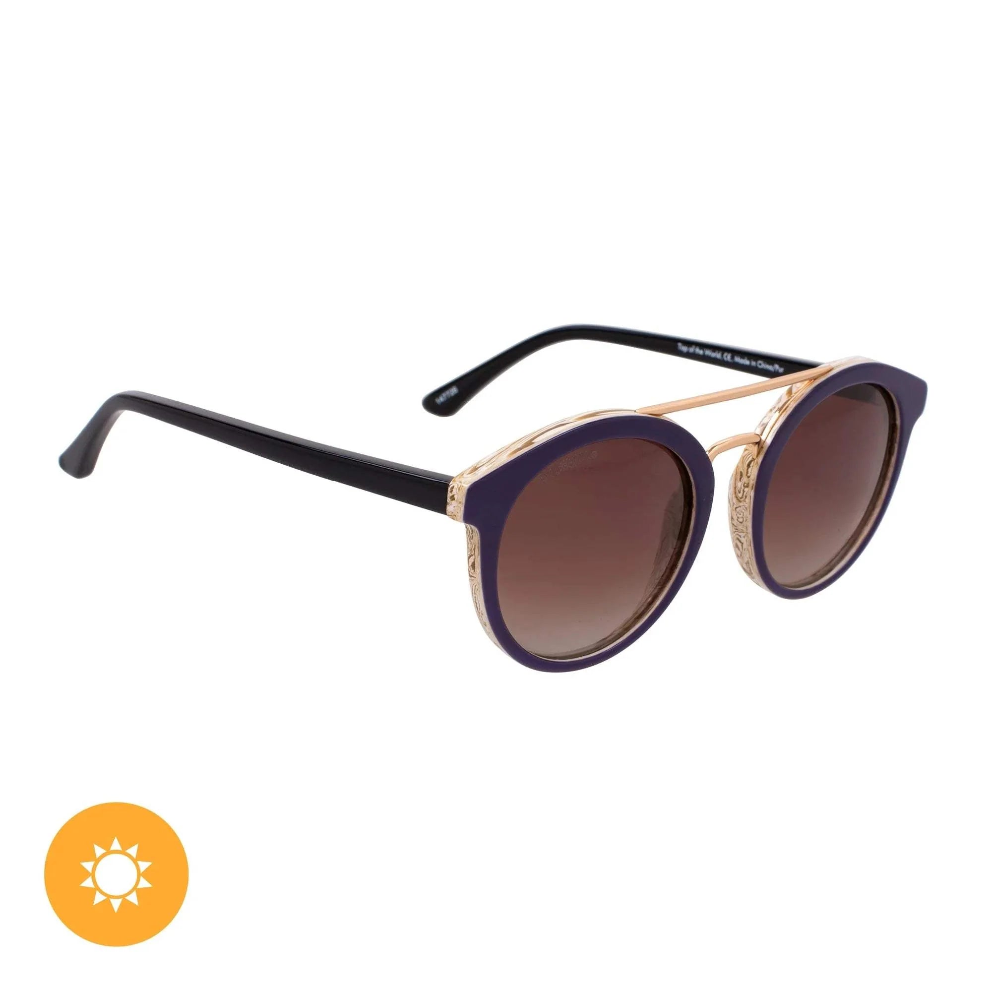 Solize Top of the World - Ivory to Purple by DelSol for Unisex - 1 Pc Sunglasses