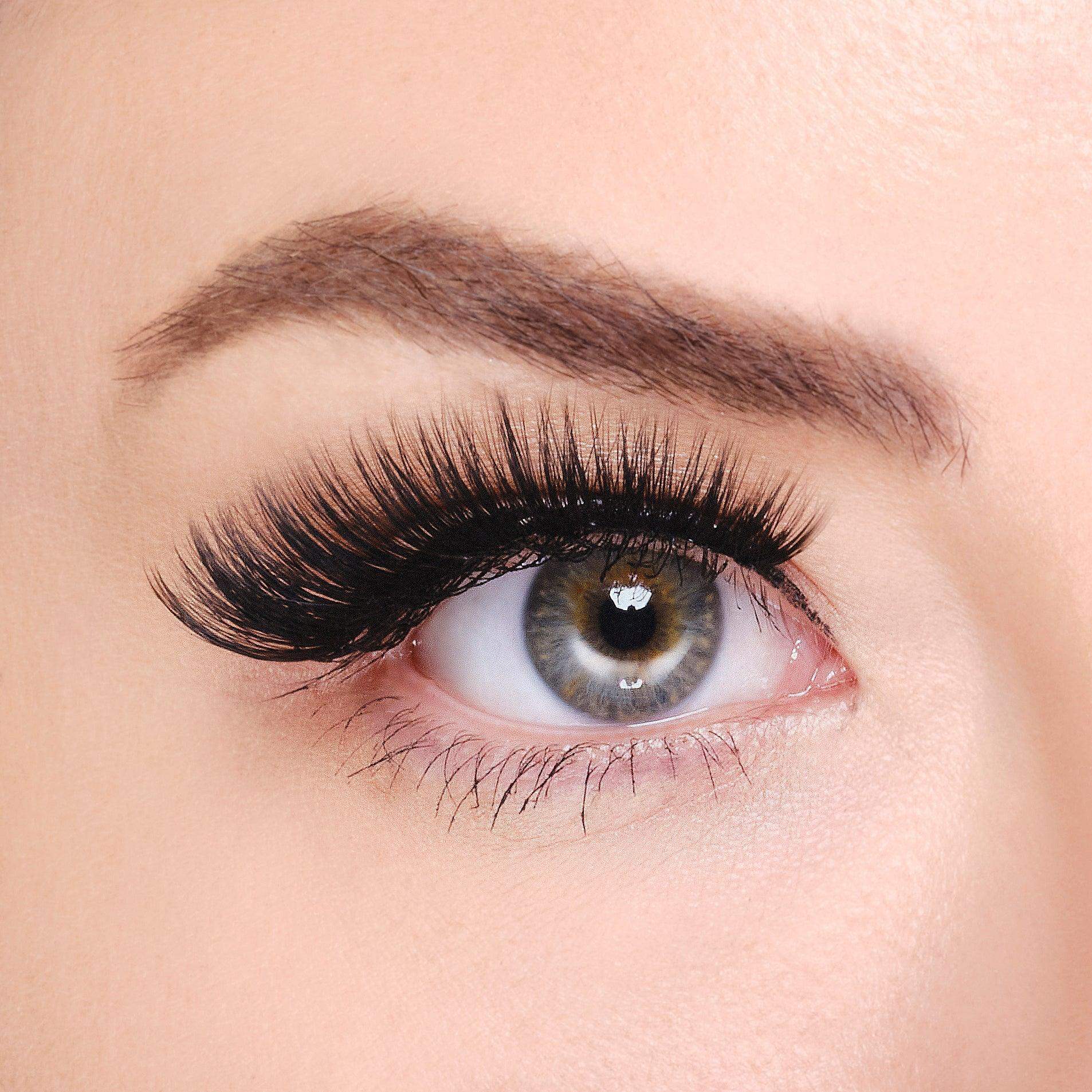 Synthetic Eyelashes - Kingston - BarberSets