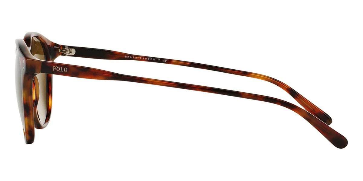 Polo Ralph Lauren PH4101 5017-71 - Gold-Green by Ralph Lauren for Women - 52-22-145 mm Sunglasses