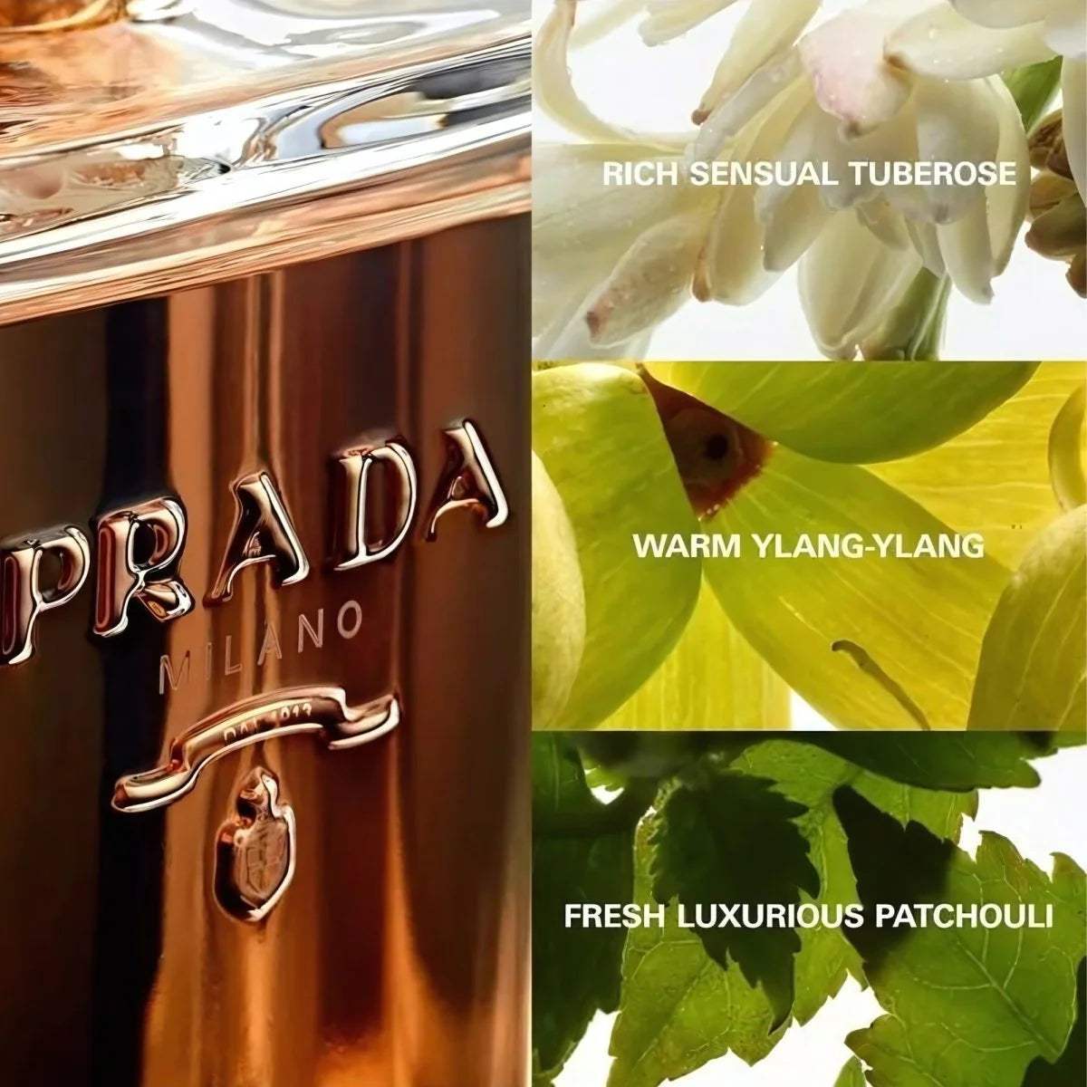 La Femme Prada by Prada for Women - 3.4 oz EDP Spray