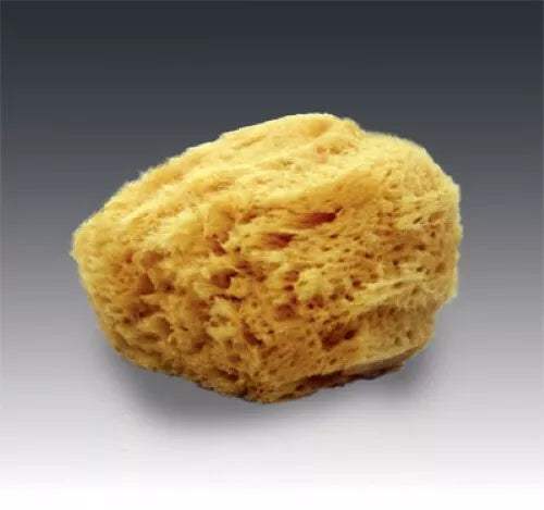 mehron Natural Sea Sponge Applicator - Yellow
