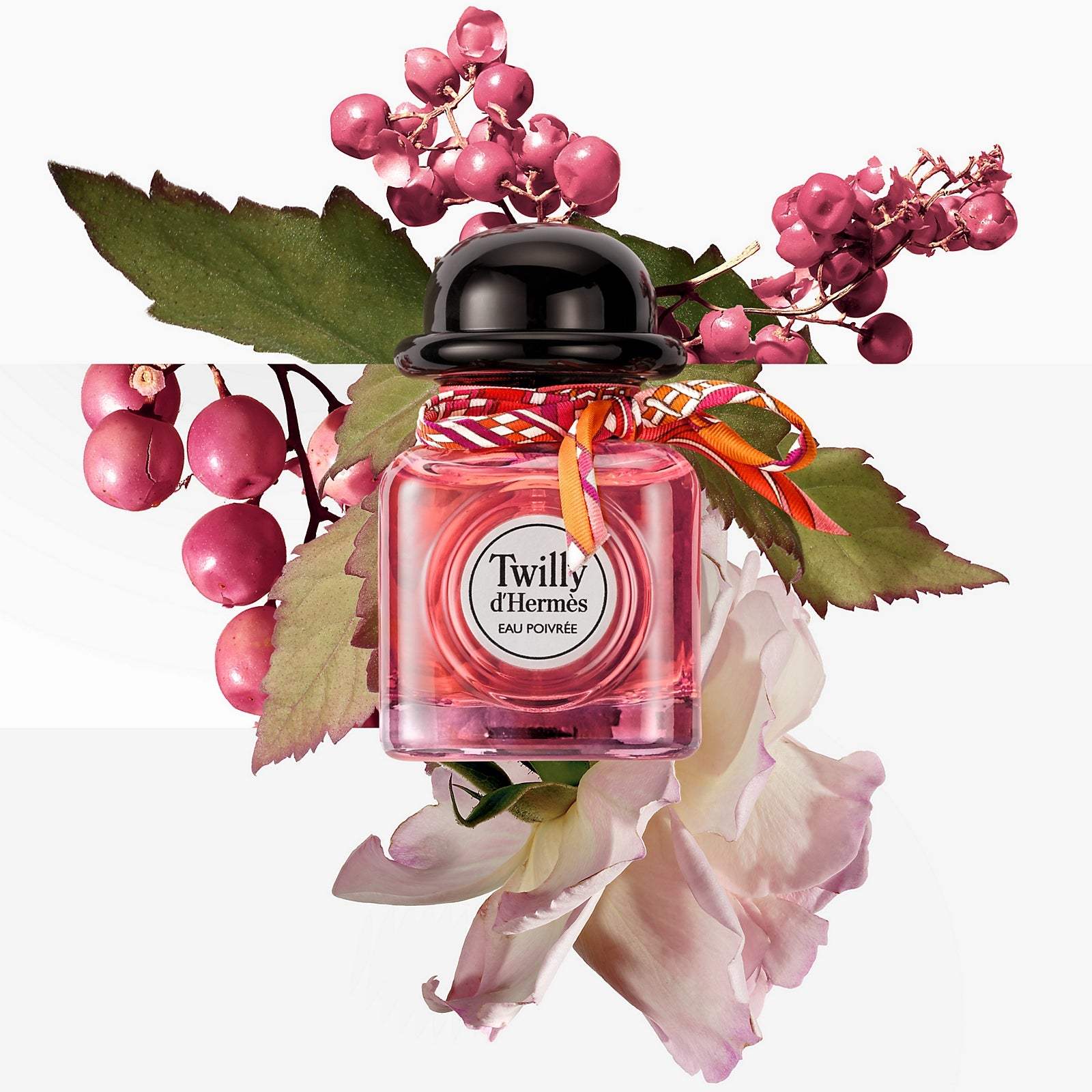 Twilly DHermes Eau Poivree by Hermes for Women - 1.6 oz EDP Spray